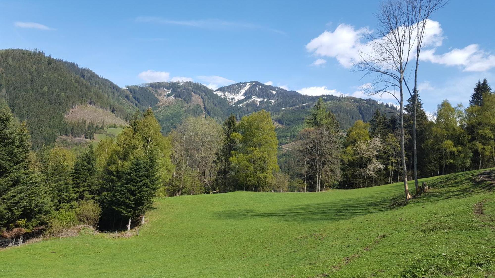 Kloiberhof Villa Oblarn Eksteriør bilde