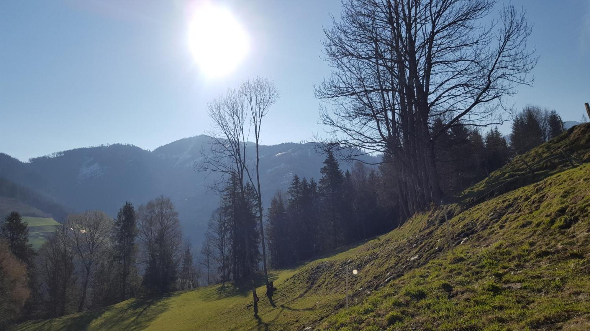 Kloiberhof Villa Oblarn Eksteriør bilde